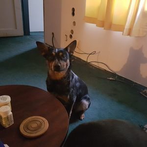 Meet your Posher, Roberta